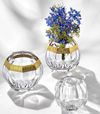 vaso beauty Moser assortito.jpg