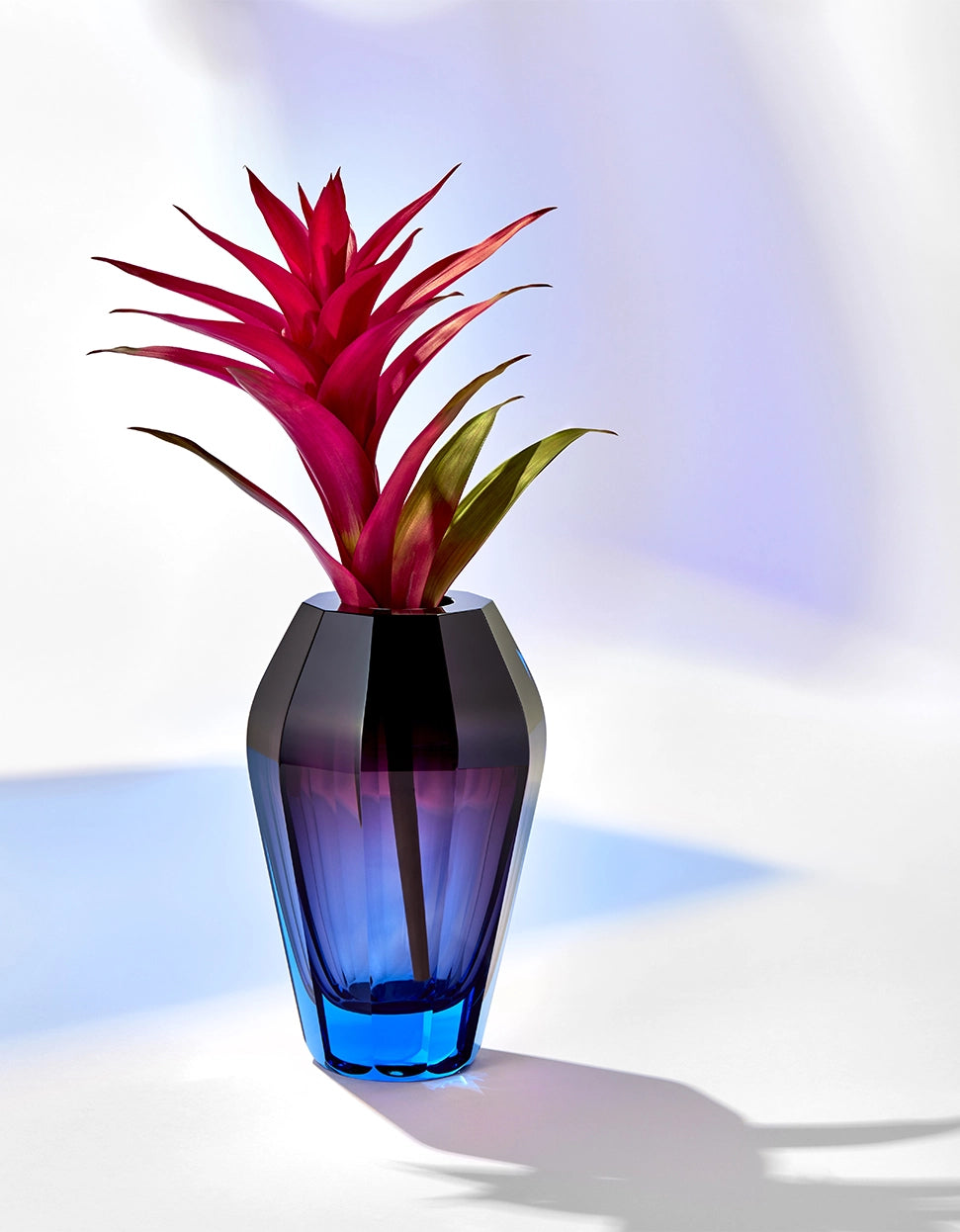 vaso diva moser ambientato.jpg