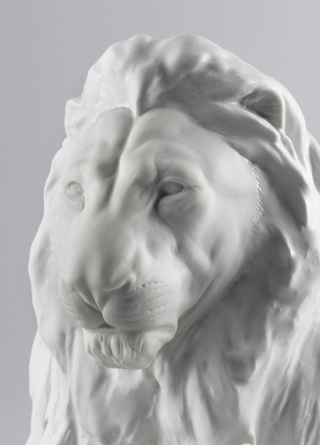 leone con cucciolo 1009454 Lladro dettagli muso.jpg