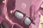 0321710000_2_HR.JPG