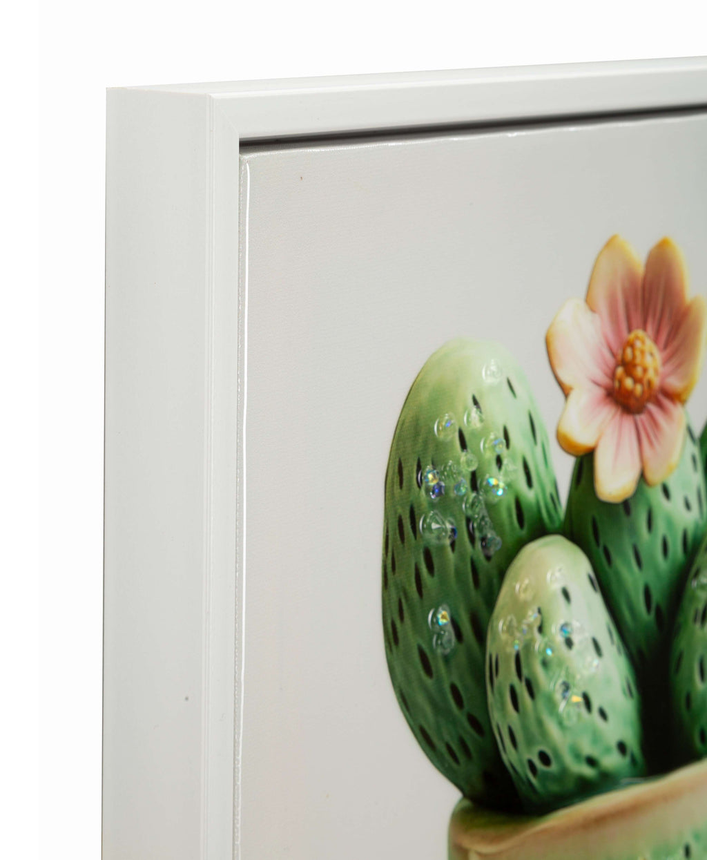 stampa vaso cactus A Mauro Ferretti (2).jpg