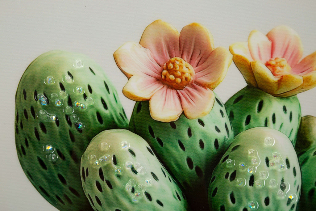 stampa vaso cactus A Mauro Ferretti (3).jpg