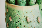 stampa vaso cactus A Mauro Ferretti (4).jpg
