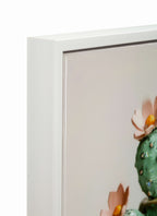 stampa vaso Cactus c Mauro Ferretti (2).jpg