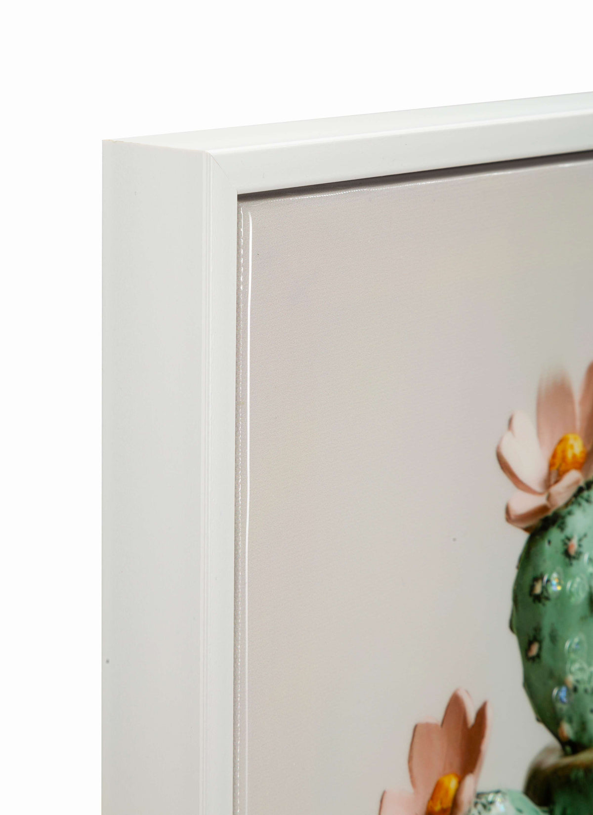 stampa vaso Cactus c Mauro Ferretti (2).jpg