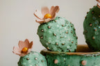 stampa vaso Cactus c Mauro Ferretti (3).jpg