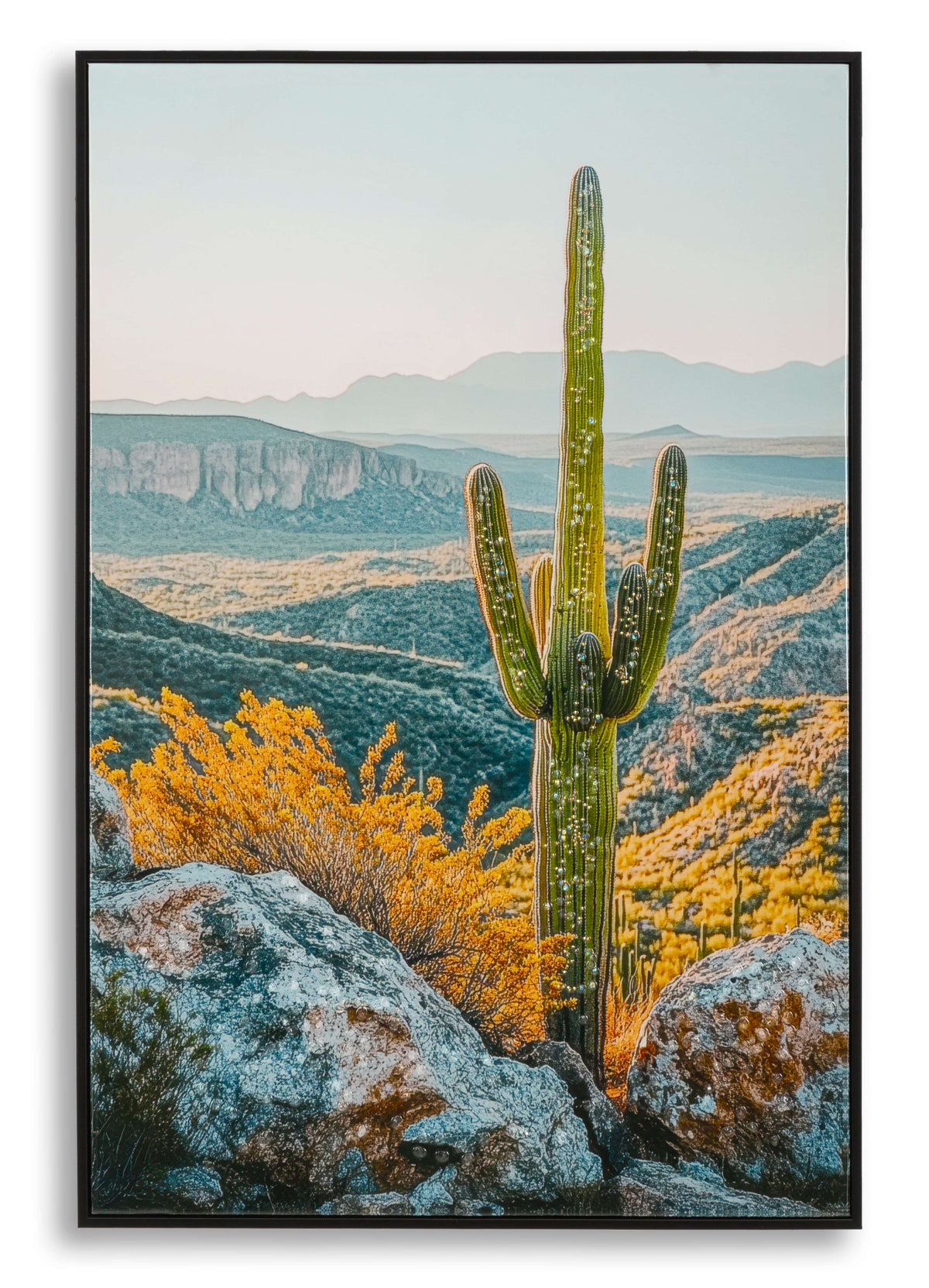 stampa Cactus b Mauro Ferretti (1).jpg