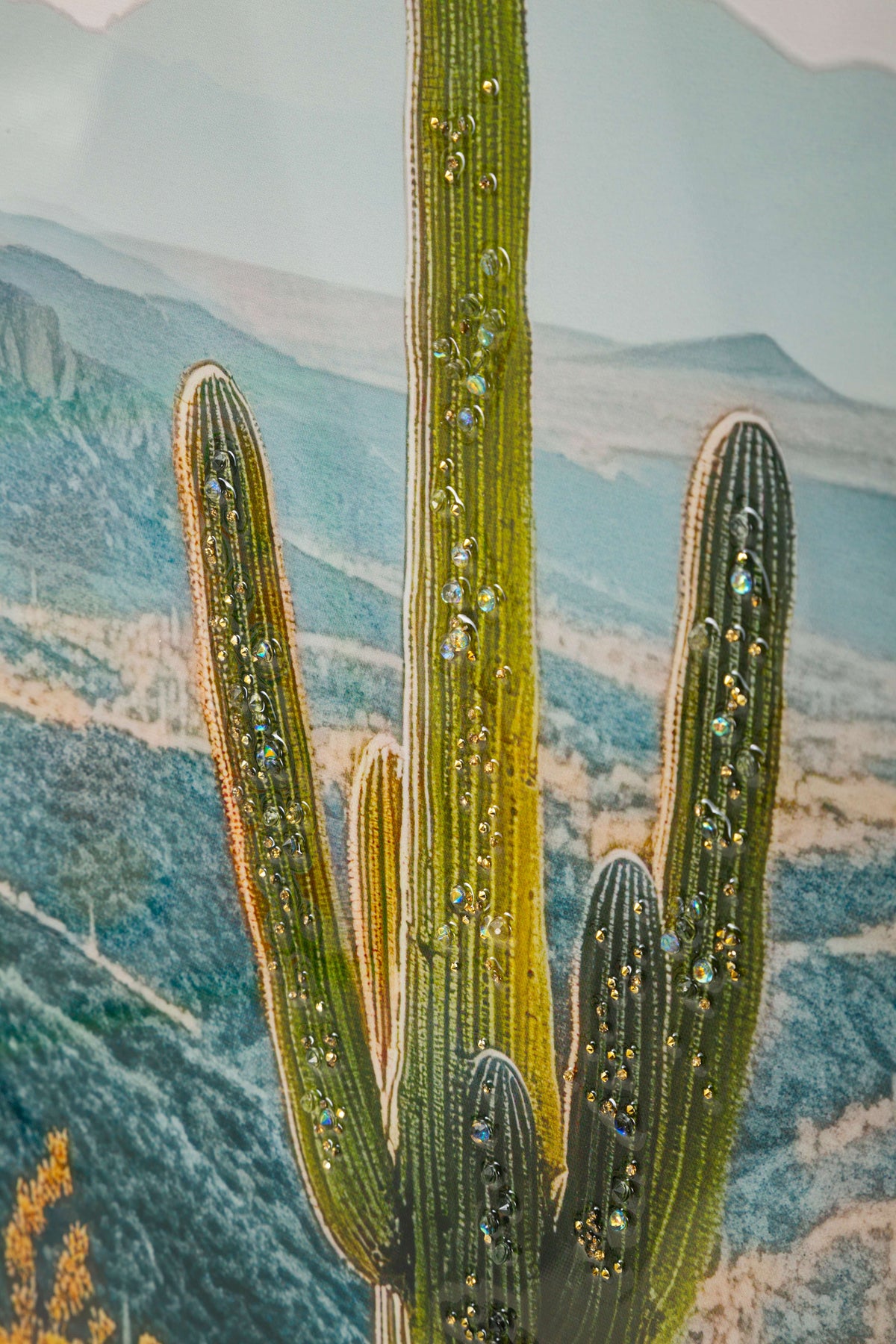 stampa Cactus b Mauro Ferretti (3).jpg