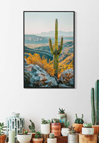 stampa Cactus b Mauro Ferretti (6).jpg