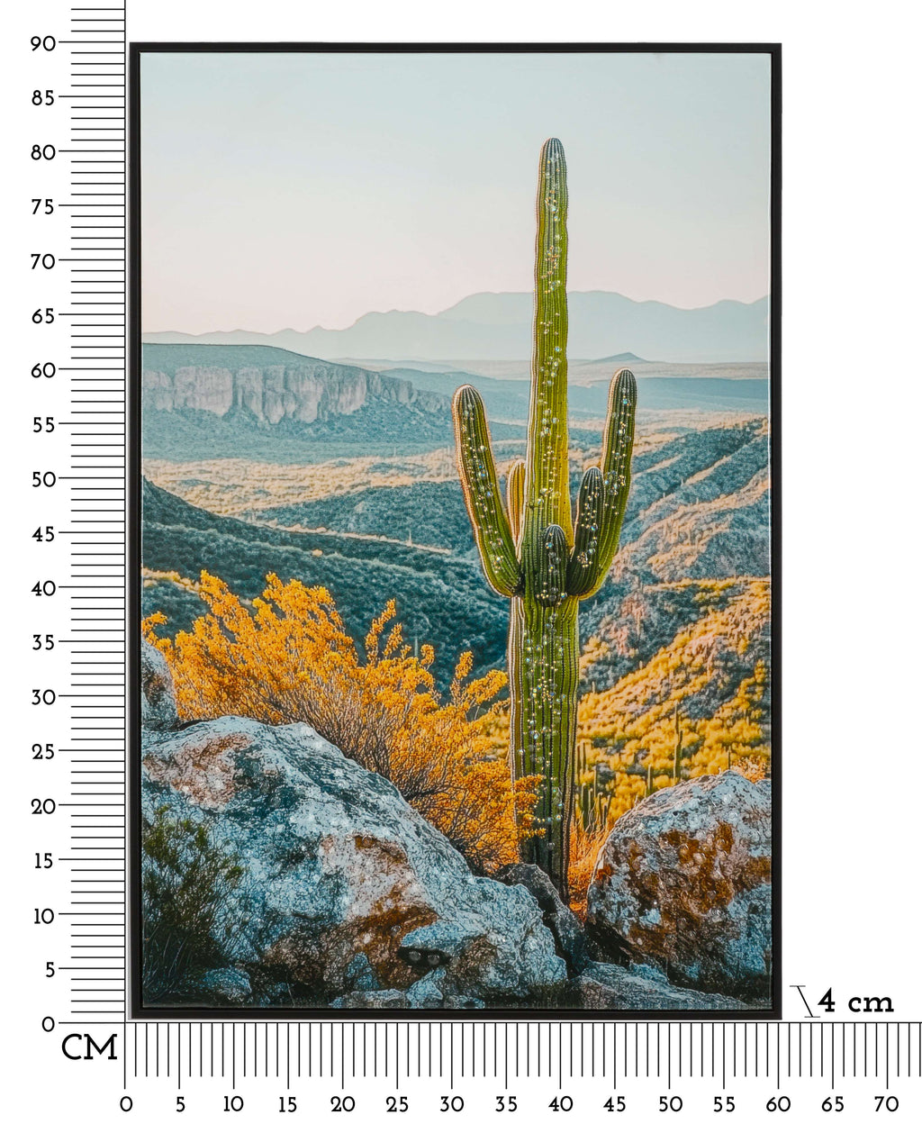 stampa Cactus b Mauro Ferretti (7).jpg