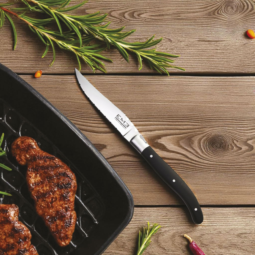 PAMPA-coltello-bistecca  ambientato Eme.jpg
