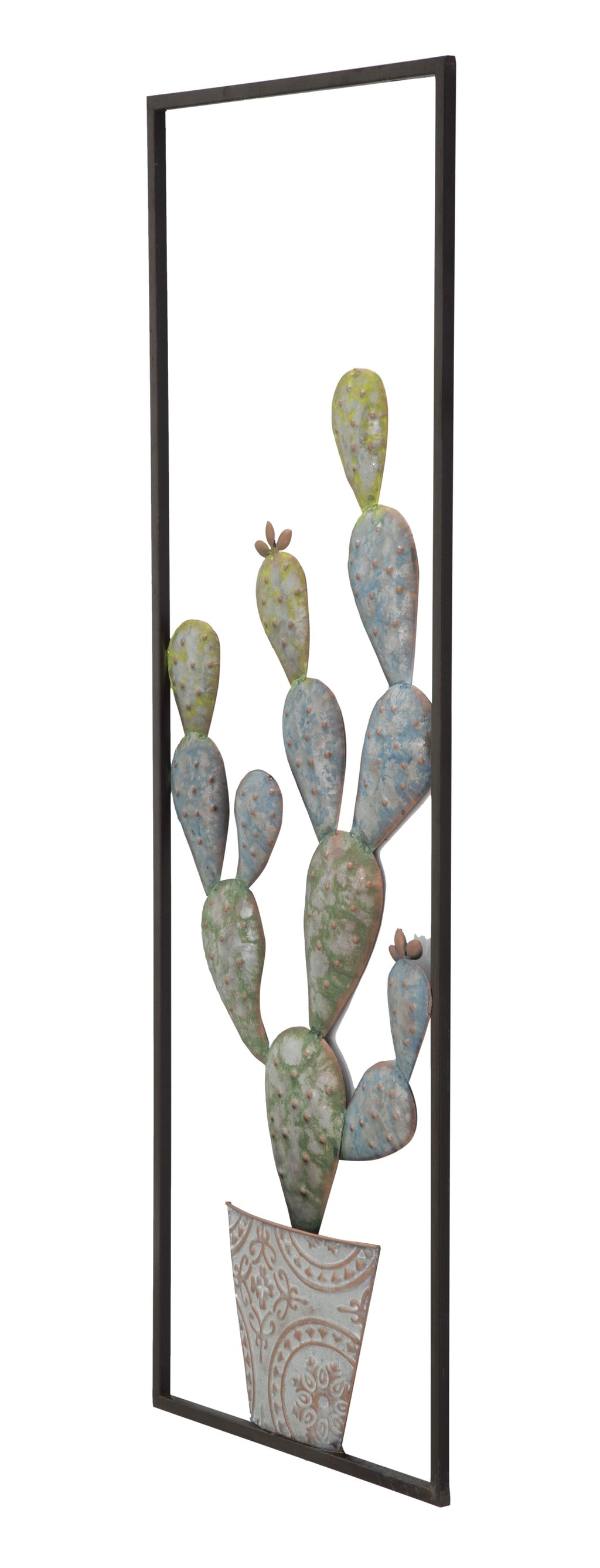 pannello Cactus A di Mauro Ferretti (3).jpg