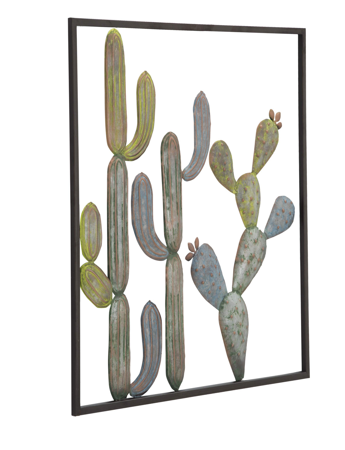 pannello Cactus C di Mauro Ferretti (2).jpg