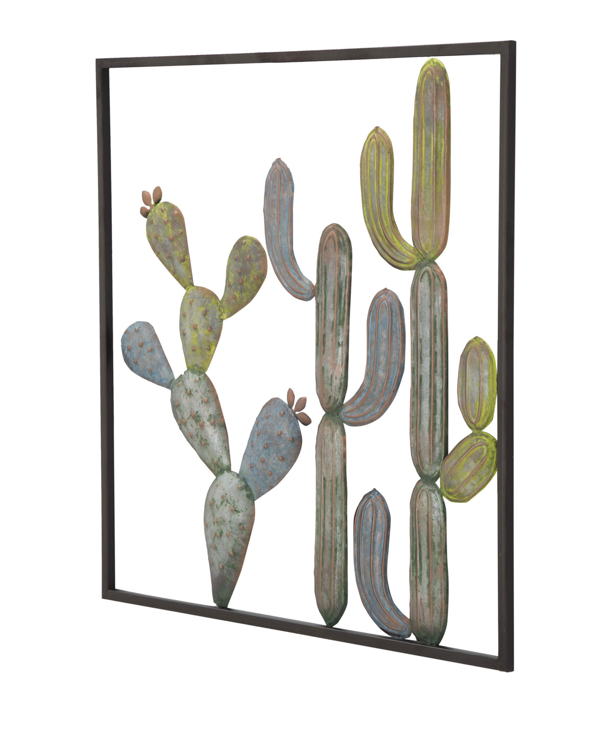 pannello Cactus C di Mauro Ferretti (4).jpg