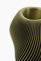 vaso Venux oliva Yliaca (2).jpg